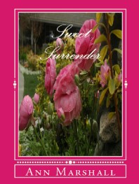 sweet-surrender-cover-for-goodreads