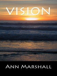 vision-cover-for-goodreads